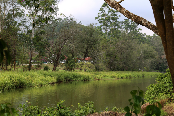 blossom park munnar